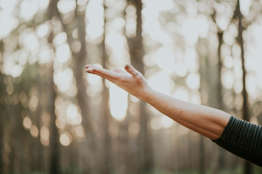 corporate wellness program